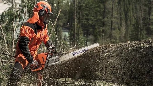 Residential Tree Services
